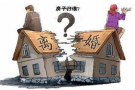 催收团队的工作计划：高效执行，保障权益
